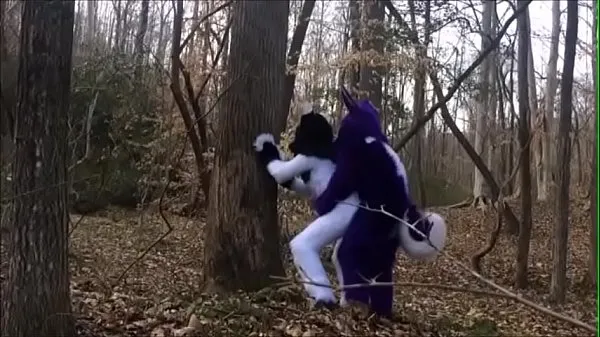 Ny Fursuit Couple Mating in Woods fint rør